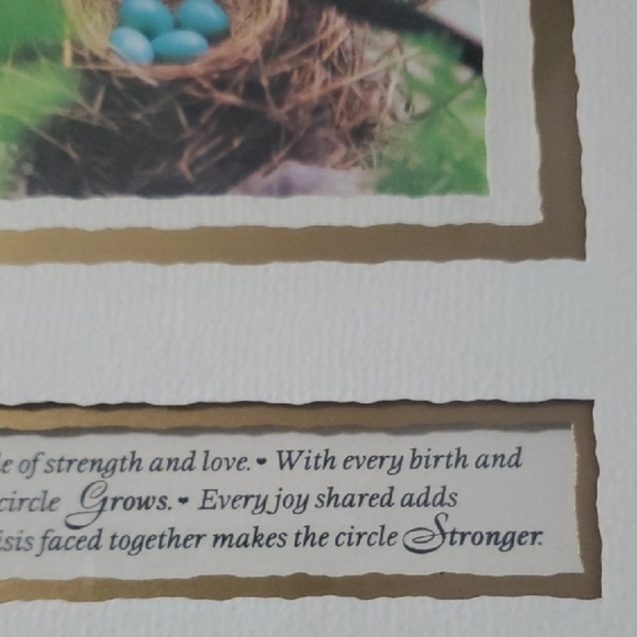 Gold Framed Art Print Nest Eggs Our Family Is A Circle Of Strength And Love - Picture 4 of 5